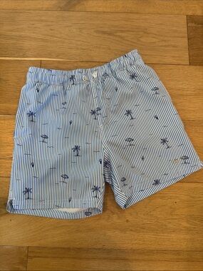 Ingear Blue & White Striped Palm-Print Kids Shorts